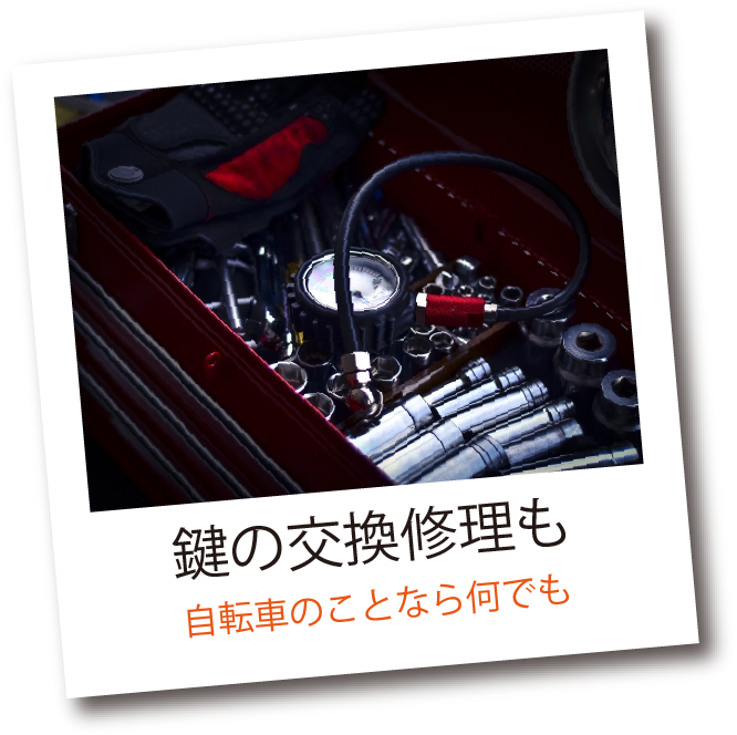eeサイクル